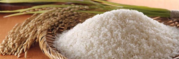 中国是大米的产量多还是小麦的产量多呢?