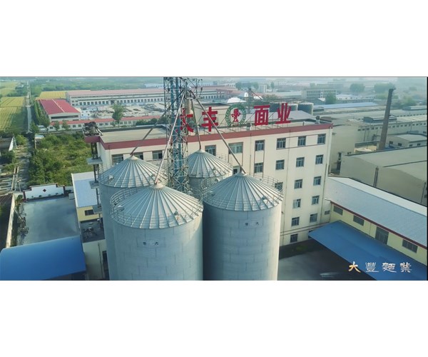 小麦粉的分类有哪些