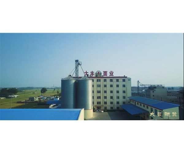 小麦粉的营养价值和用途